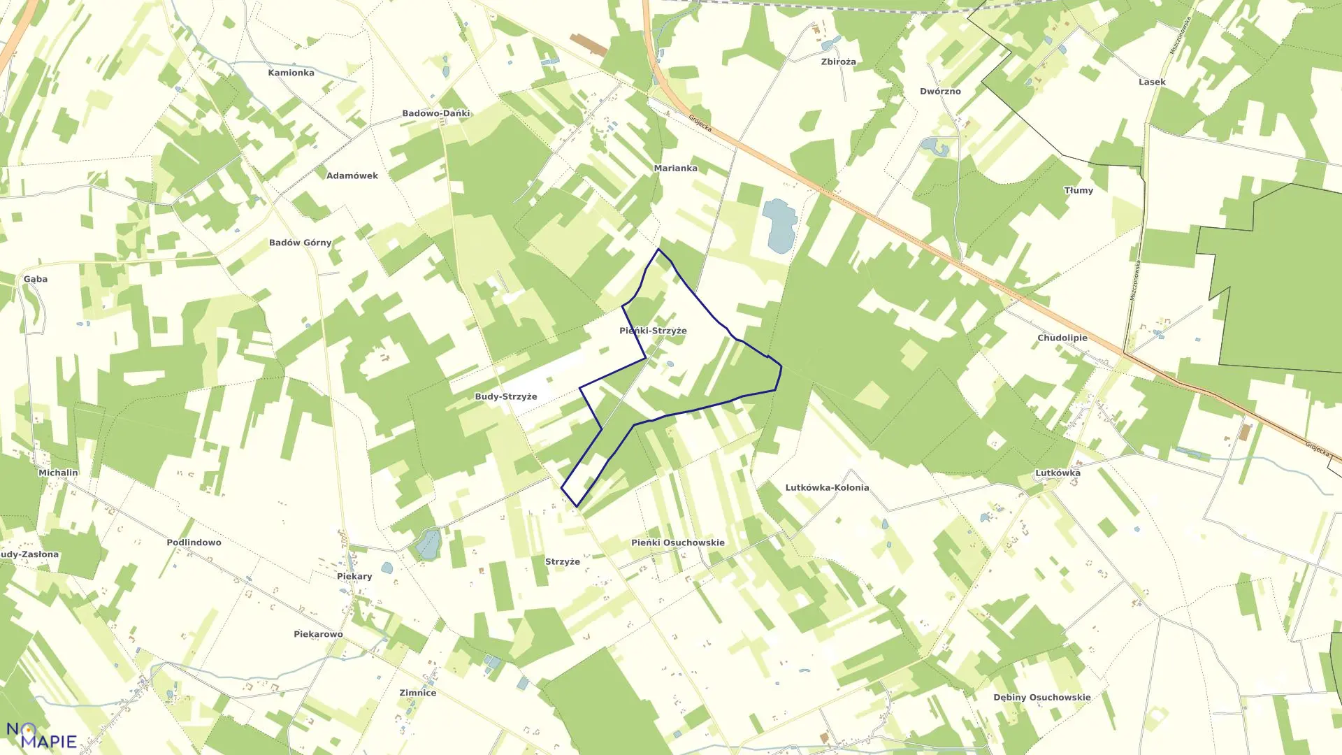 Mapa obrębu PIEŃKI STRZYŻE w gminie Mszczonów