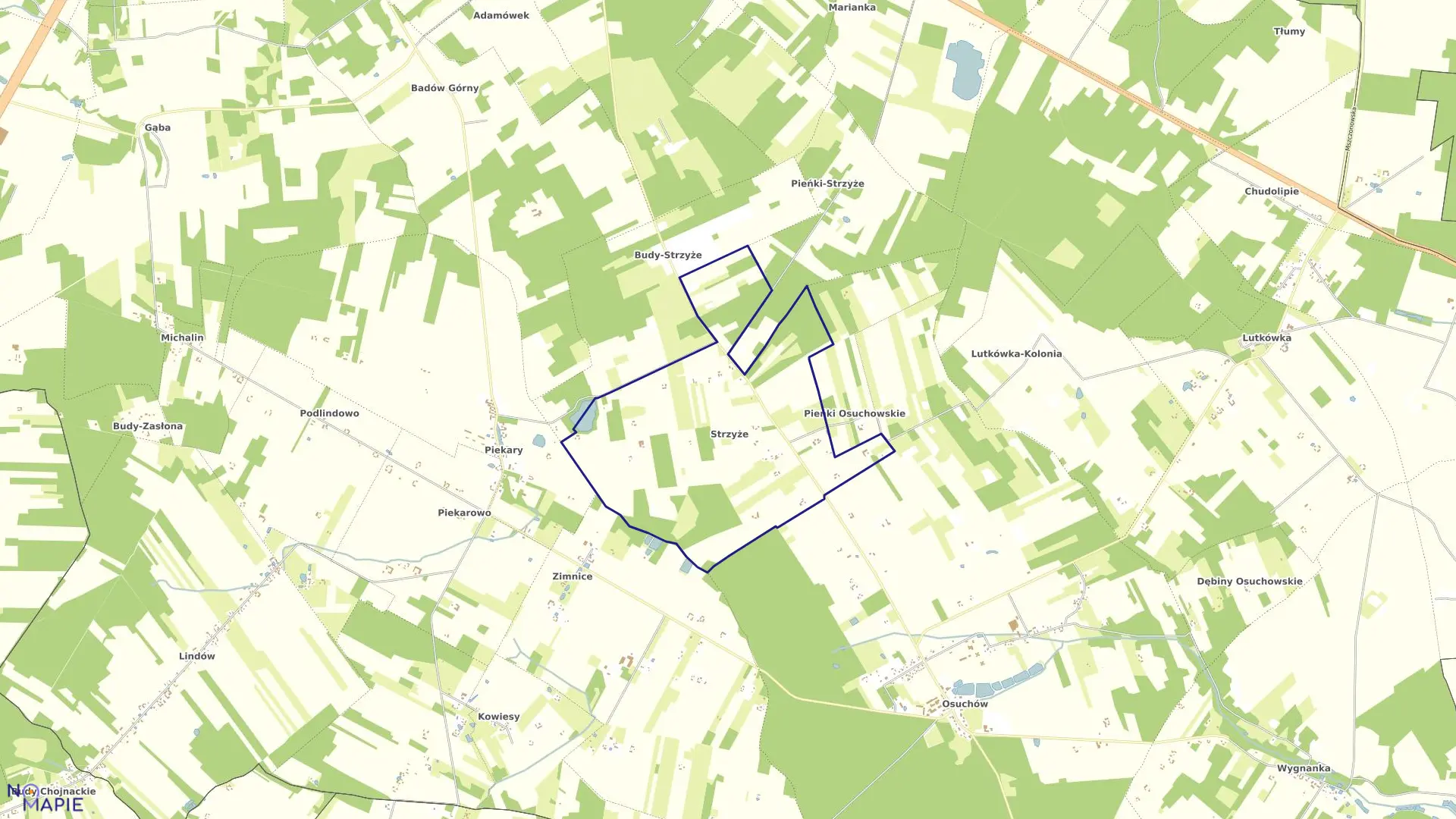 Mapa obrębu STRZYŻE w gminie Mszczonów