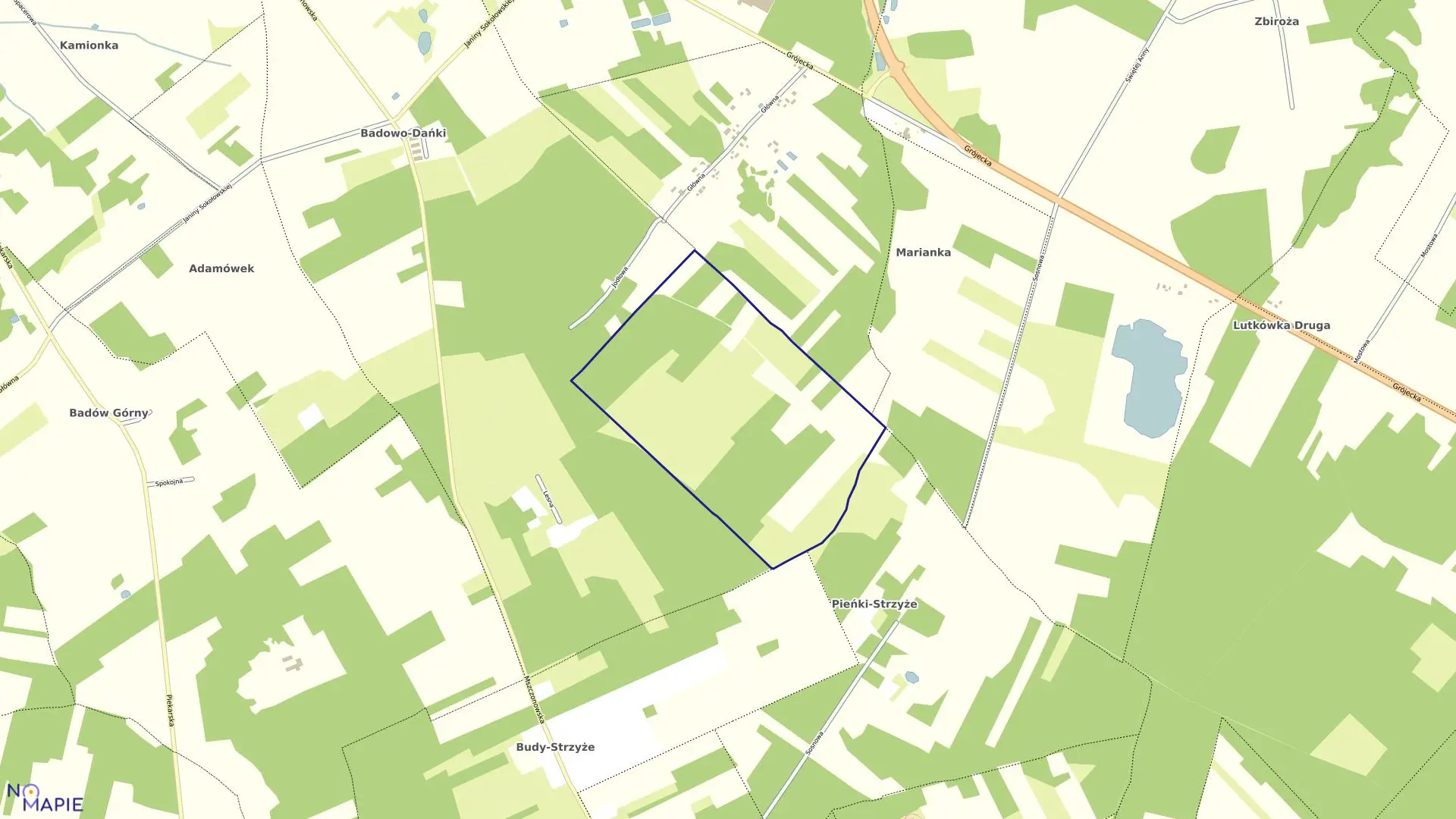 Mapa obrębu WŁADYSŁAWÓW w gminie Mszczonów